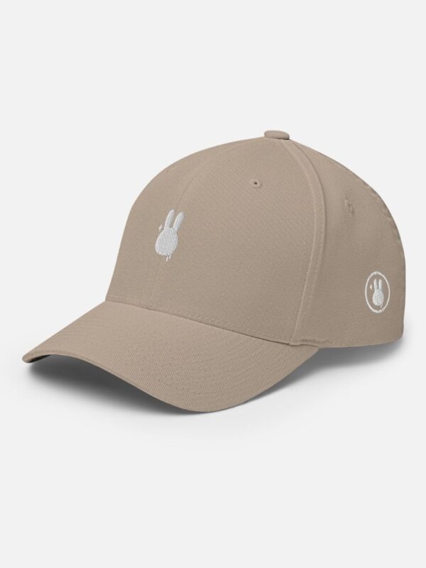 Snapback Hat khaki 1