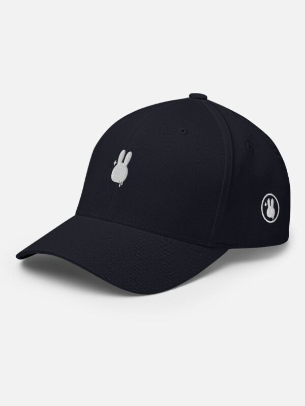Snapback Hat Black 1